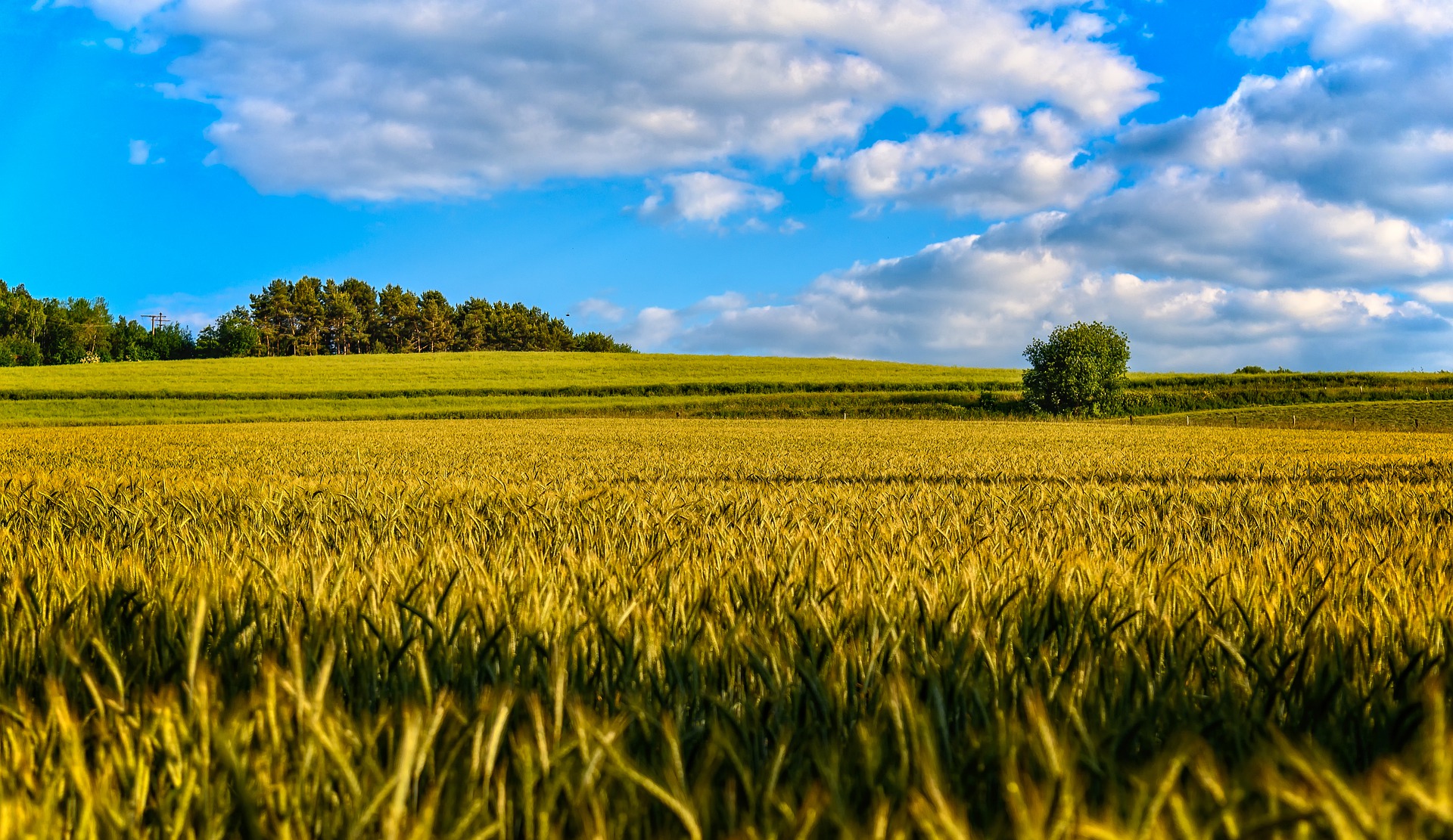 parallax background